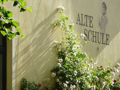 Bild 3 aus  Alte Schule Mechelsdorf - Idylle zw. Rerik und Kühlungsborn - 2,5 km zur Ostsee