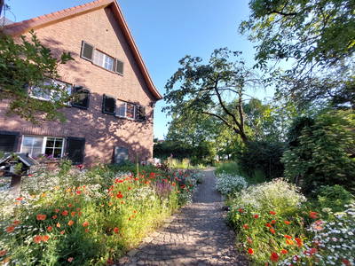 Bild 2 aus  Alpakas am Schloss