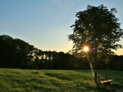 Bild 29 aus  Ferienhof Dingeldey