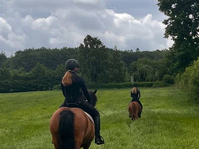 Bild 57 aus  Ferienhof Sell