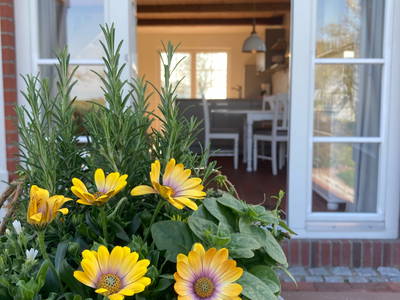 Terasse einer Ferienwohnung