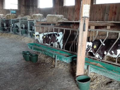 Bild 28 aus  Hof Keppel, der stromlose Urlaub