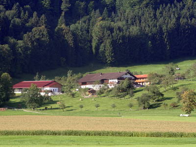 Bild 4 aus  Unterulpointhof