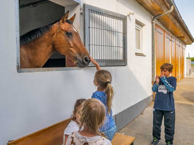 Bild 20 aus  Ferienwohnungen Wagner