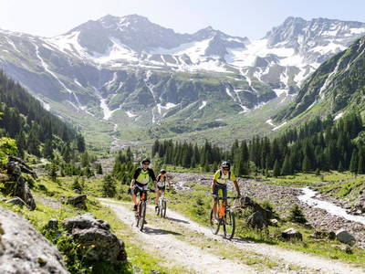 Bild 3 aus  Monas Home Mayrhofen