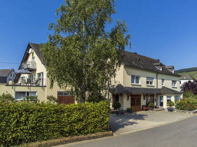 Bild 28 aus  Weingut Winnebeck inmitten der Weinberge