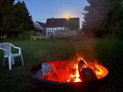 Bild 2 aus  Relaxen auf der grünen Wiese mit Pferden als Nachbarn