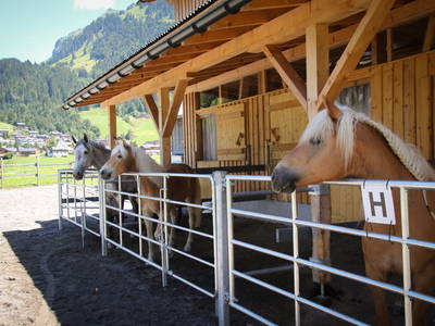 Bild 30 aus  Haus Bergquell mit Pferdestall