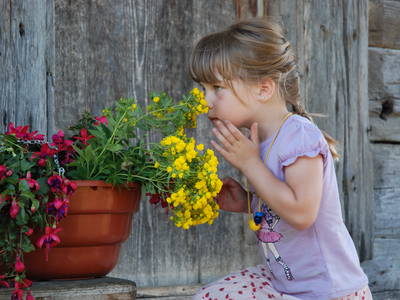 Bild 22 aus  Masererhof - Ferienbauernhof im Chiemgau