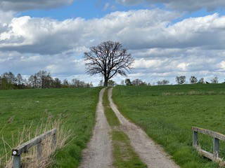 Bild 37 aus  Ferienwohnung Schöner Winkel