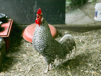 Bild 6 aus  Ferienhof Wichmann