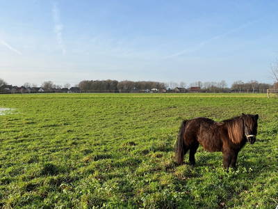 Bild 7 aus  Ferienhof Westermann