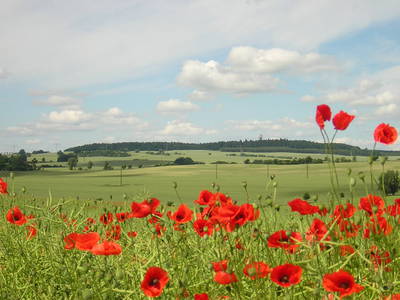 Bild 12 aus  Altes Gasthaus am Hofsee