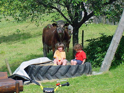 Bild 12 aus  Bauernhof Rützler