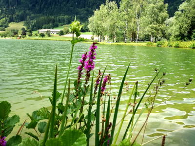 Bild 7 aus  Ferien am Talhof