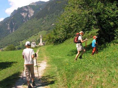 Bild 27 aus  Casarina