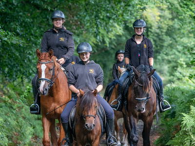 Bild 8 aus  Bernsteinreiter Hirschburg
