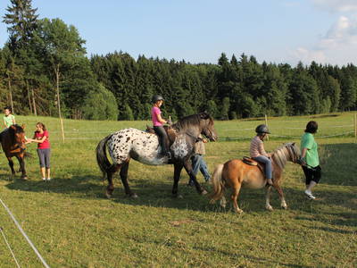 Bild 14 aus  Erlebnisbauernhof Achatz