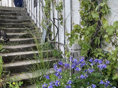 Bild 21 aus  Luminohof