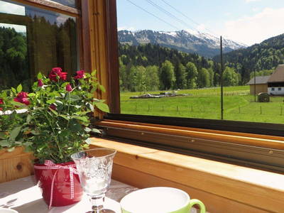 Bild 4 aus  Landhaus Alt mit Bauernhof