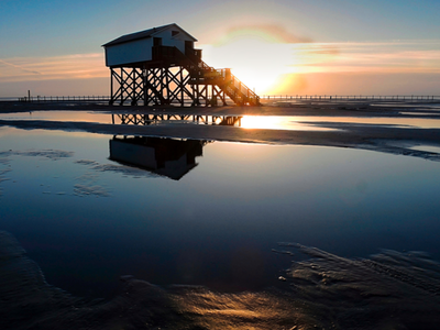 Bild 13 aus  "Reet" Landhaus Hartwig bei St. Peter-Ordings Sandstrand