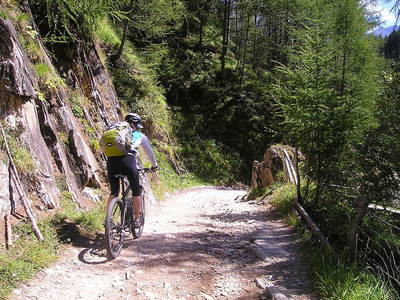 Bild 27 aus  Bauniglerhof