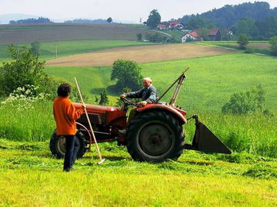 Mithilfe beim  Mähen
