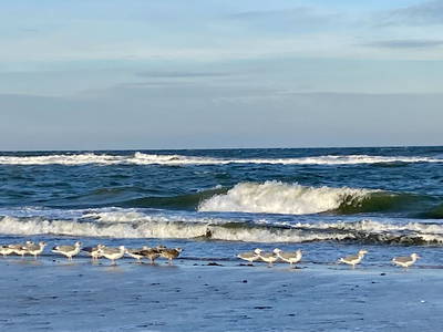 Bild 65 aus  Ferienhof Messer  Bauernhofurlaub  Ostseenähe  Ponys