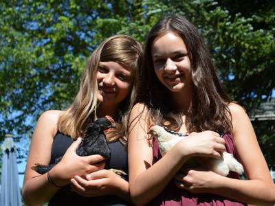 Bild 25 aus  Ferienhof Wolschendorf