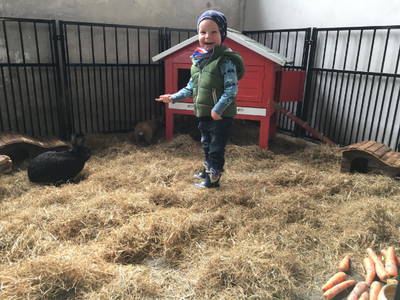 Bild 30 aus  Ponyhof Goldenstein