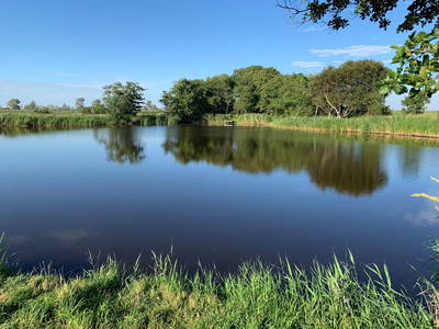 Bild 27 aus  Nordseefewo Lämmerblick