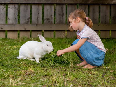 Bild 9 aus  Fuchshof