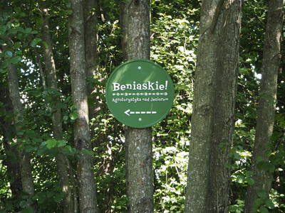 Bild 39 aus  West Masuren: Ferienhaus direkt am See mit Steg, Boot, Sauna & Kamin