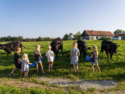 Bild 19 aus  LandSelection Hagerhof