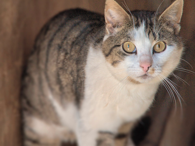 Bild 14 aus  Gschwinghof