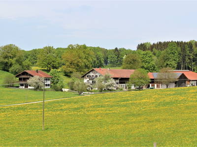 Bild 34 aus  Doasahof