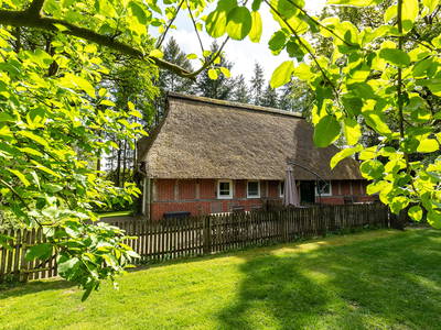 Bild 11 aus  Hof Bockelmann