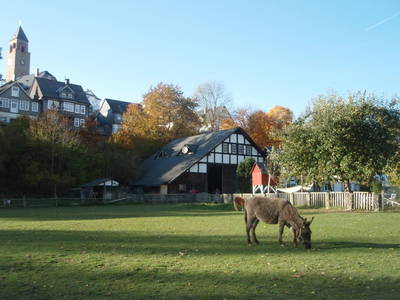 Bild 25 aus  Ferienhof Heute Mühle