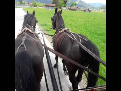 Bild 7 aus  Bichlerhof