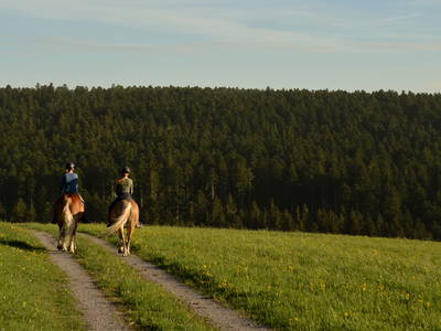 Bild 9 aus  Sternenhof