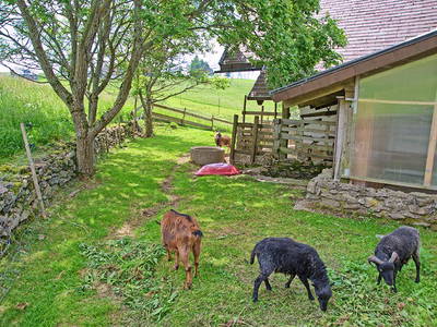 Bild 12 aus  Willkommen bei Familie Gutmann  auf dem Itzenwaldhof