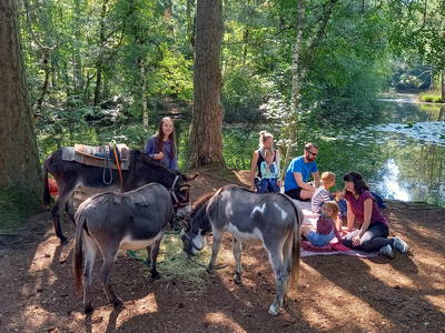 Bild 6 aus  Biohof Grafel - ein Ort, der verbindet