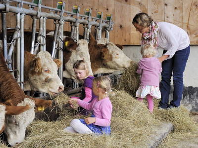 Bild 6 aus  Weissenhof-Inzell