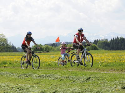 Bild 35 aus  Köllhof