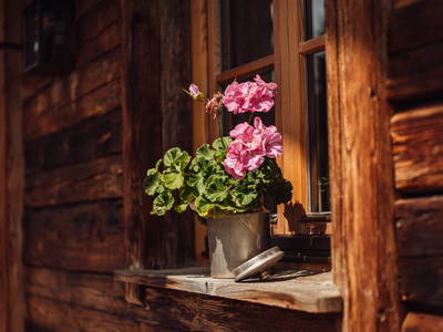 Bild 43 aus  Martenhof