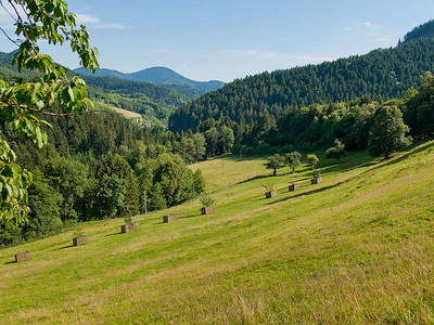 Bild 22 aus  Hirzighof