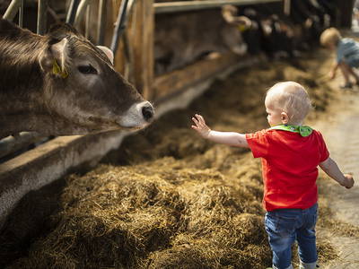 Bild 16 aus  Ferienhof Belke-Spork