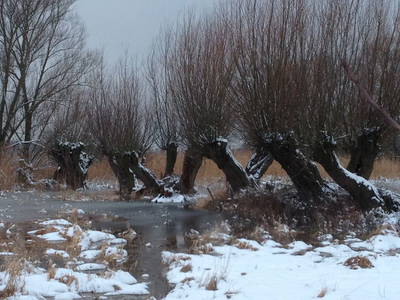 Bild 21 aus  Ferienhof Höffler/im Sternenpark Westhavelland