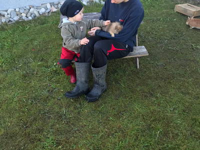 Bild 24 aus  Fuchsbauernhof