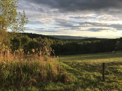 Bild 34 aus  Dürrenhof